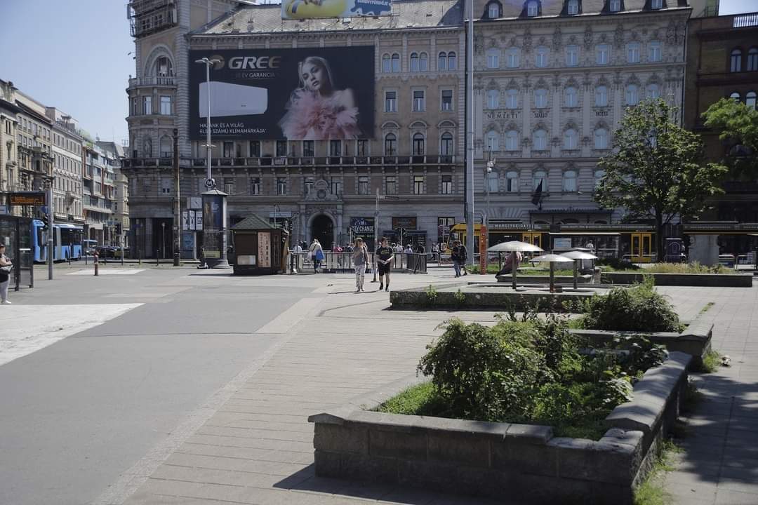 blog image